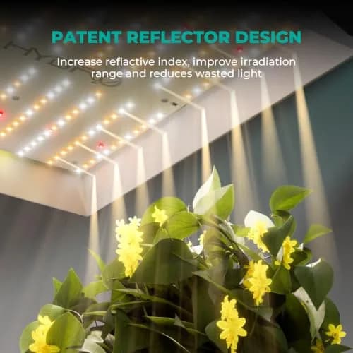 MARS HYDRO TS1000 150W LED Grow Light for Indoor Plants | Full Spectrum, Dimmable, Quiet Fanless, 2.5x2.5ft Coverage thumbnail 5