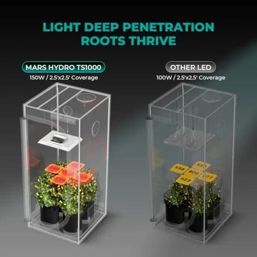 MARS HYDRO TS1000 150W LED Grow Light for Indoor Plants | Full Spectrum, Dimmable, Quiet Fanless, 2.5x2.5ft Coverage thumbnail 9