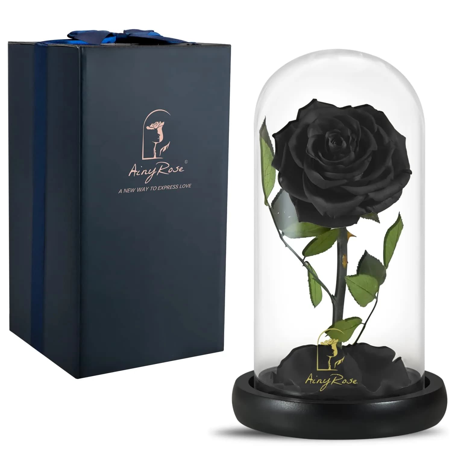 SW Forever Preserved Real Rose Flower in Glass Dome with Gift Box | Blue Eternal Rose for Mom Women, Valentine's Day, Anniversary — Black