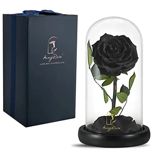 SW Forever Preserved Real Black Rose Flower in Glass Dome with Gift Box | 11.9 cm (4.7 inch) Diameter thumbnail 1