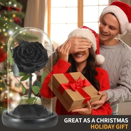 SW Forever Preserved Real Black Rose Flower in Glass Dome with Gift Box | 11.9 cm (4.7 inch) Diameter thumbnail 5