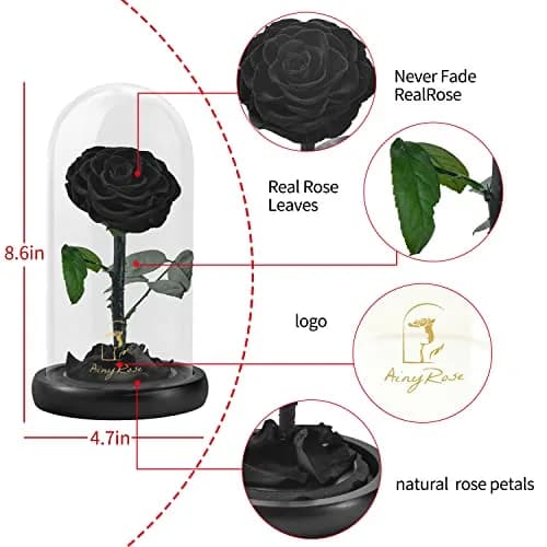 SW Forever Preserved Real Black Rose Flower in Glass Dome with Gift Box | 11.9 cm (4.7 inch) Diameter thumbnail 6