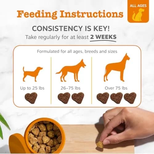 Zesty Paws Probiotics for Dogs - Gut Health, Chicken, 90 Ct | Supports Digestive & Immune Health thumbnail 4