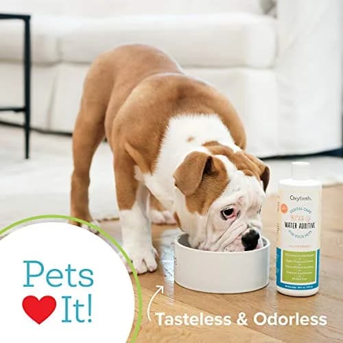 Oxyfresh Pet Dental Water Additive – No Brushing | Safe, Tasteless, Odorless Dental Care Solution for Cats & Dogs thumbnail 5