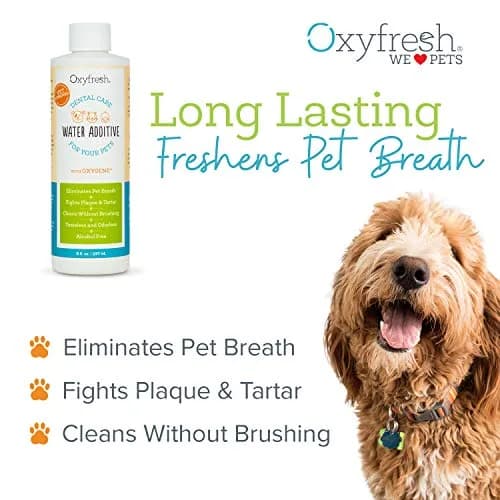 Oxyfresh Pet Dental Water Additive – No Brushing | Safe, Tasteless, Odorless Dental Care Solution for Cats & Dogs thumbnail 2