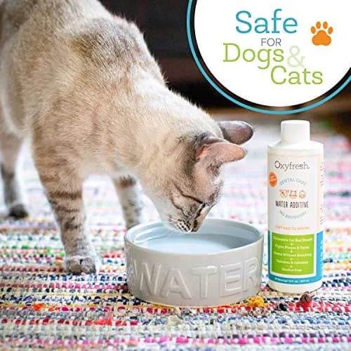 Oxyfresh Pet Dental Water Additive – No Brushing | Safe, Tasteless, Odorless Dental Care Solution for Cats & Dogs thumbnail 3