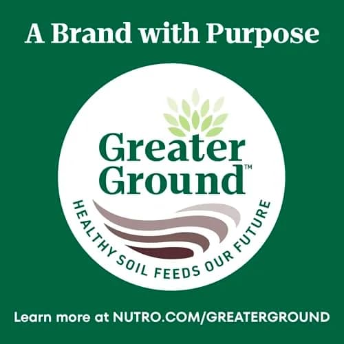 Nutro Wholesome Essentials Kitten Dry Cat Food, Chicken & Rice, 5 lb | Balanced Nutrition for Growing Kittens thumbnail 9