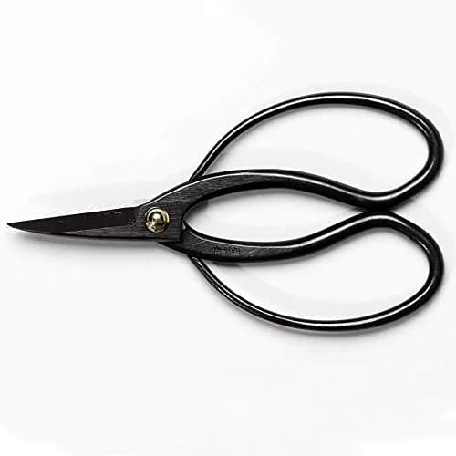 Wazakura Hanafubuki Bonsai Scissors 180mm (7") | Traditional Japanese Pruning Shears for Precision Cuts thumbnail 9