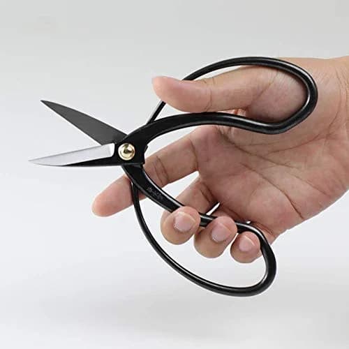 Wazakura Hanafubuki Bonsai Scissors 180mm (7") | Traditional Japanese Pruning Shears for Precision Cuts thumbnail 3