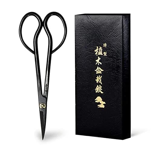 Wazakura Satsuki Bonsai Scissors 7in (180mm) Black | Japanese Carbon Steel Pruning Shears thumbnail 1