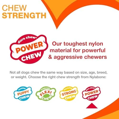 Nylabone Power Chew Customer Favorites Dog Chew Toys, Large, 3 Count | Tough Nylon for Aggressive Chewers thumbnail 4