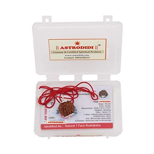 ASTRODIDI 7 Mukhi Nepali Rudraksha Pendant with Red Thread | Lab Certified thumbnail 4