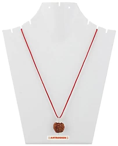 ASTRODIDI 7 Mukhi Nepali Rudraksha Pendant with Red Thread | Lab Certified thumbnail 6