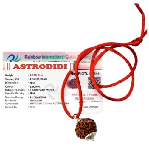 ASTRODIDI 7 Mukhi Nepali Rudraksha Pendant with Red Thread | Lab Certified thumbnail 1