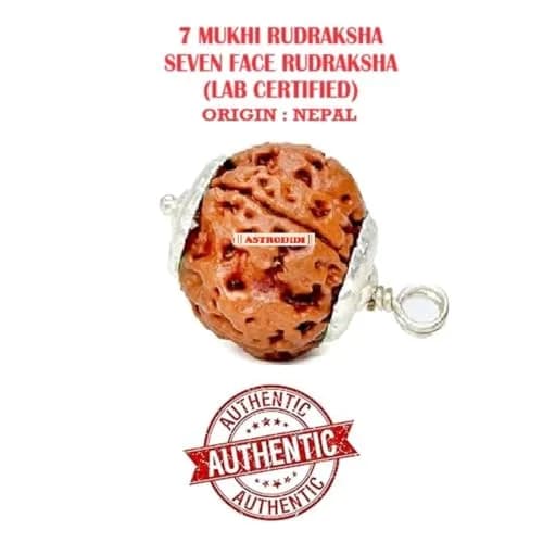ASTRODIDI 7 Mukhi Nepali Rudraksha Pendant with Red Thread | Lab Certified thumbnail 3
