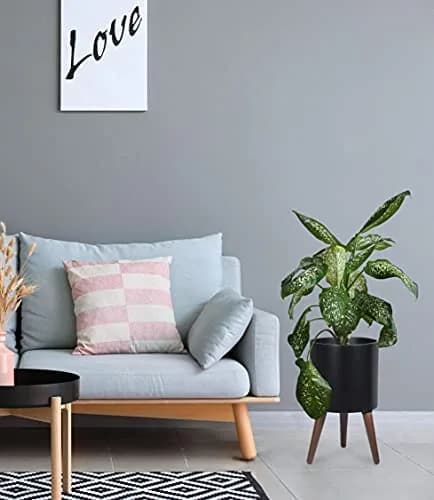D'vine Dev 10 Inch Planter Pot with Wood Stand | Black, Mid-Century Modern, Indoor Garden thumbnail 7