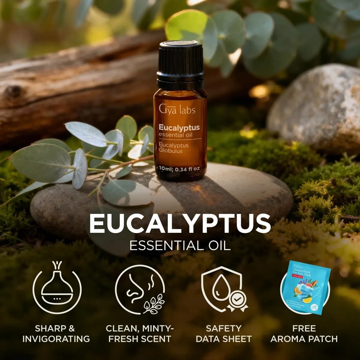 Gya Labs Eucalyptus Essential Oil 0.34 Fl Oz (10ml) | 100% Pure Australian Eucalyptus Oil for Diffuser, Skin, Hair - view 6