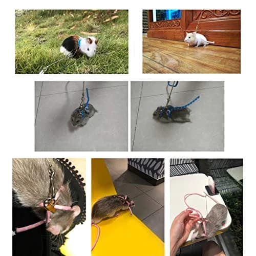 Wontee Adjustable Leash Harness with Bell for Small Animals | Soft Nylon & Metal, Pink, 6-15cm Neck thumbnail 3