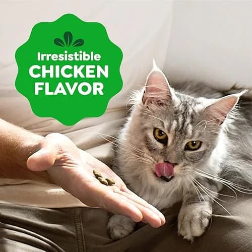 Greenies Feline Smartbites Skin & Fur Health Cat Treats, Chicken, 4.6 oz (130 g) | Vet-Designed with Omega-3s for Healthy Skin thumbnail 7