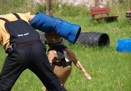 Dingo Gear Impact Protection Gear Impact_Protection_Gear Blue Bite Level 3 | Advanced Dog Training Sleeve (en_US) thumbnail 2
