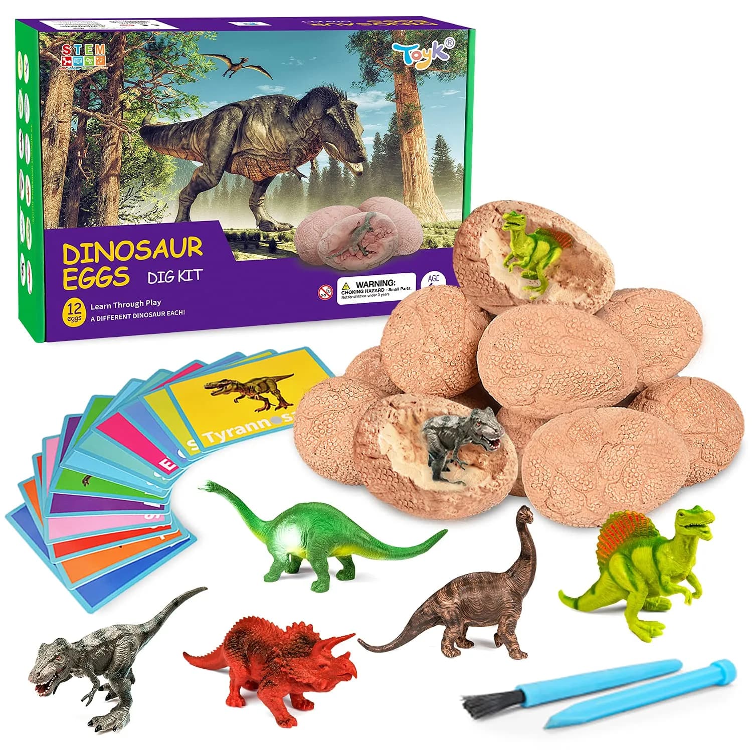Toyk Dig Up Dinosaur Fossil Eggs | Educational Science Kit for Kids 3-12 | Paleontology Fun