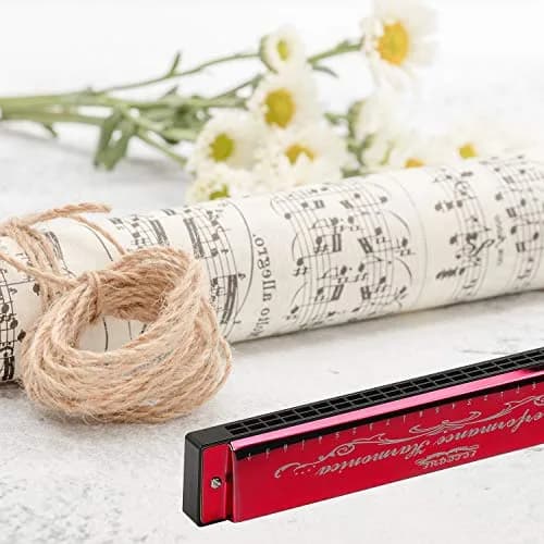 EastyGold Harmonica Mouthorgan Harp 24 Hole C Key | Polyphonic Diatonic Instrument for Blues & Folk thumbnail 3