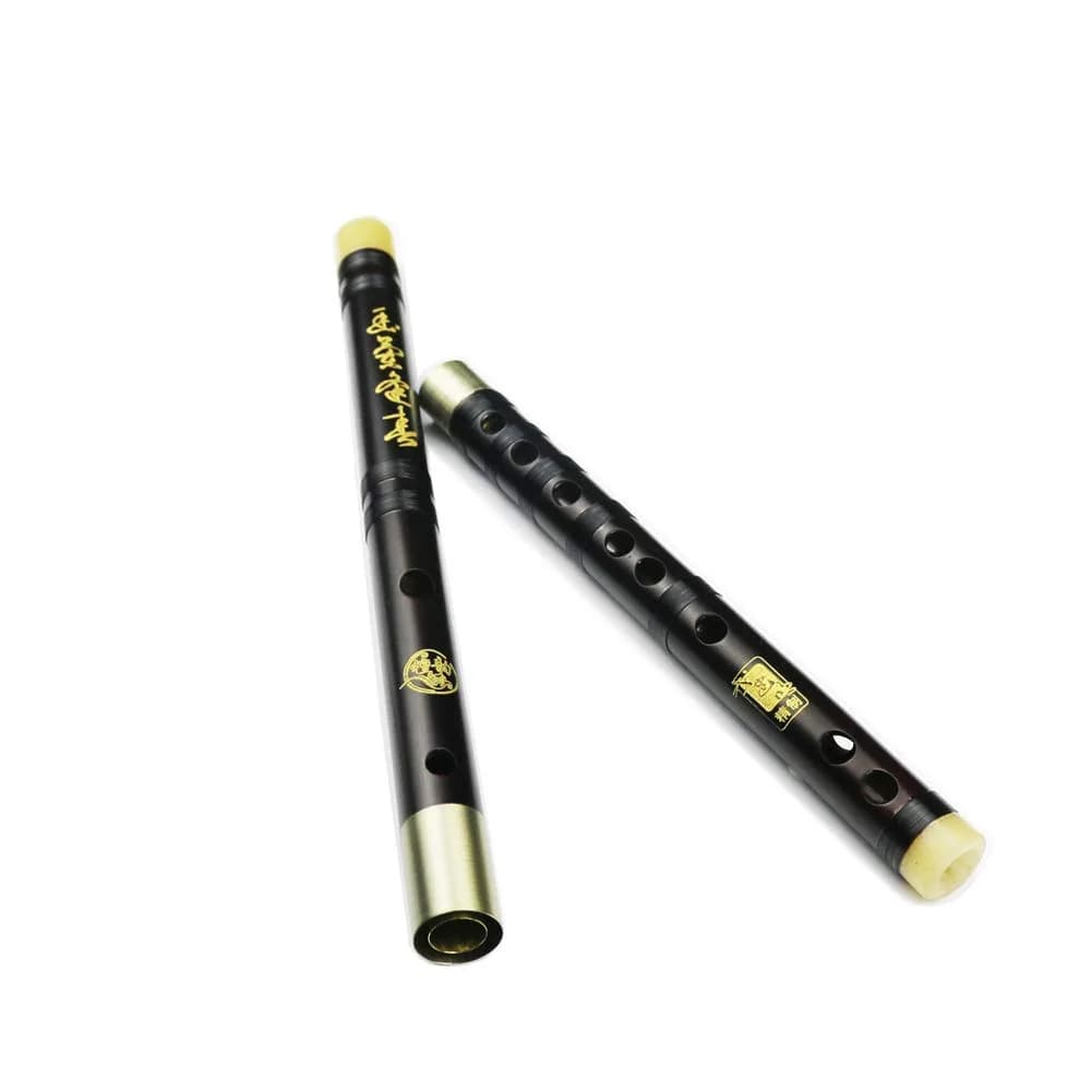 PHYSKOW Professional Rosewood Dizi Flute in Key of D | 66 cm (26 in) with Accessories - view 3