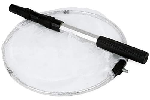 RESTCLOUD Butterfly Net with 12" Ring, 24" Net Depth, Handle Extends to 36 Inches | Professional Insect Catcher thumbnail 5
