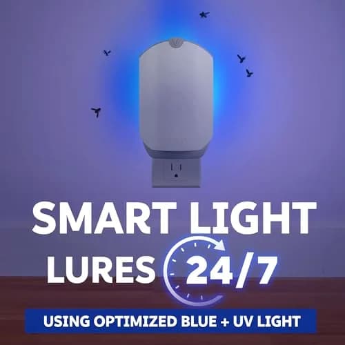 Zevo Flying Insect Trap with Refill | Catches Fruit Flies, Gnats & House Flies 24/7 | 1 Device & 1 Cartridge thumbnail 3