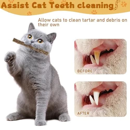 WoLover Silvervine Sticks for Cats, 25 Count | Natural Matatabi Chew Toys for Dental Care & Play thumbnail 5