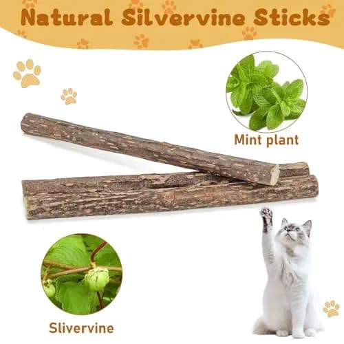 WoLover Silvervine Sticks for Cats, 25 Count | Natural Matatabi Chew Toys for Dental Care & Play thumbnail 6