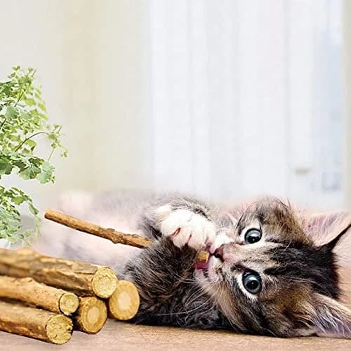 WoLover Silvervine Sticks for Cats, 25 Count | Natural Matatabi Chew Toys for Dental Care & Play thumbnail 2