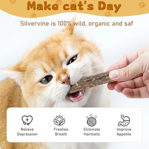 WoLover Silvervine Sticks for Cats, 25 Count | Natural Matatabi Chew Toys for Dental Care & Play thumbnail 3