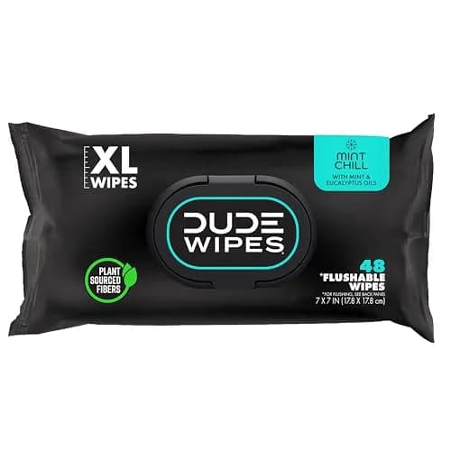 DUDE Wipes Mint Chill Adult Flushable Wet Wipes 48 Count | Refreshing, Plant-Based, Sewer & Septic Safe thumbnail 1