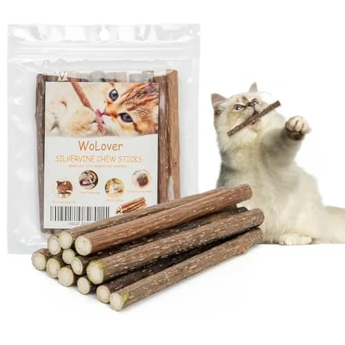 WoLover 12 PCS Silvervine Sticks for Cat, Natural Matatabi Chew Toys | 100% Wild Organic thumbnail 1