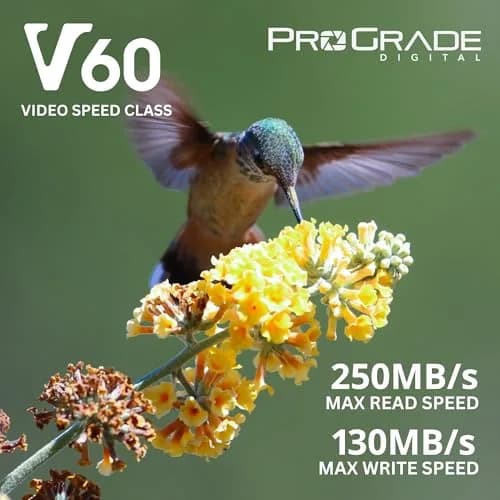 ProGrade Digital Gold SDXC UHS-II V60 Memory Card 256GB (256 GB) | Professional Speed for Content Creators thumbnail 6