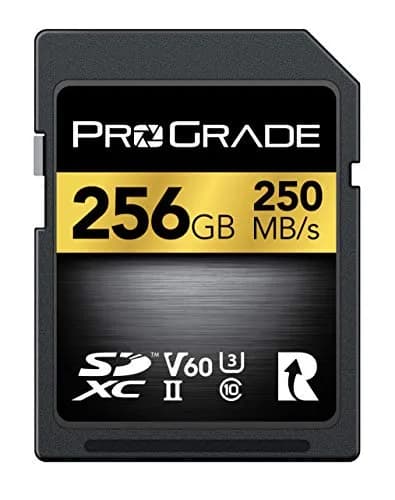 ProGrade Digital Gold SDXC UHS-II V60 Memory Card 256GB (256 GB) | Professional Speed for Content Creators thumbnail 1