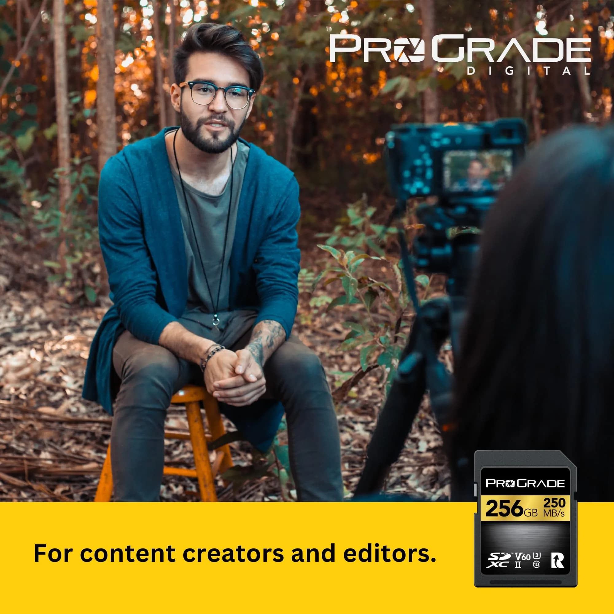 ProGrade Digital Gold SDXC UHS-II V60 Memory Card 256GB (256 GB) | Professional Speed for Content Creators - view 2