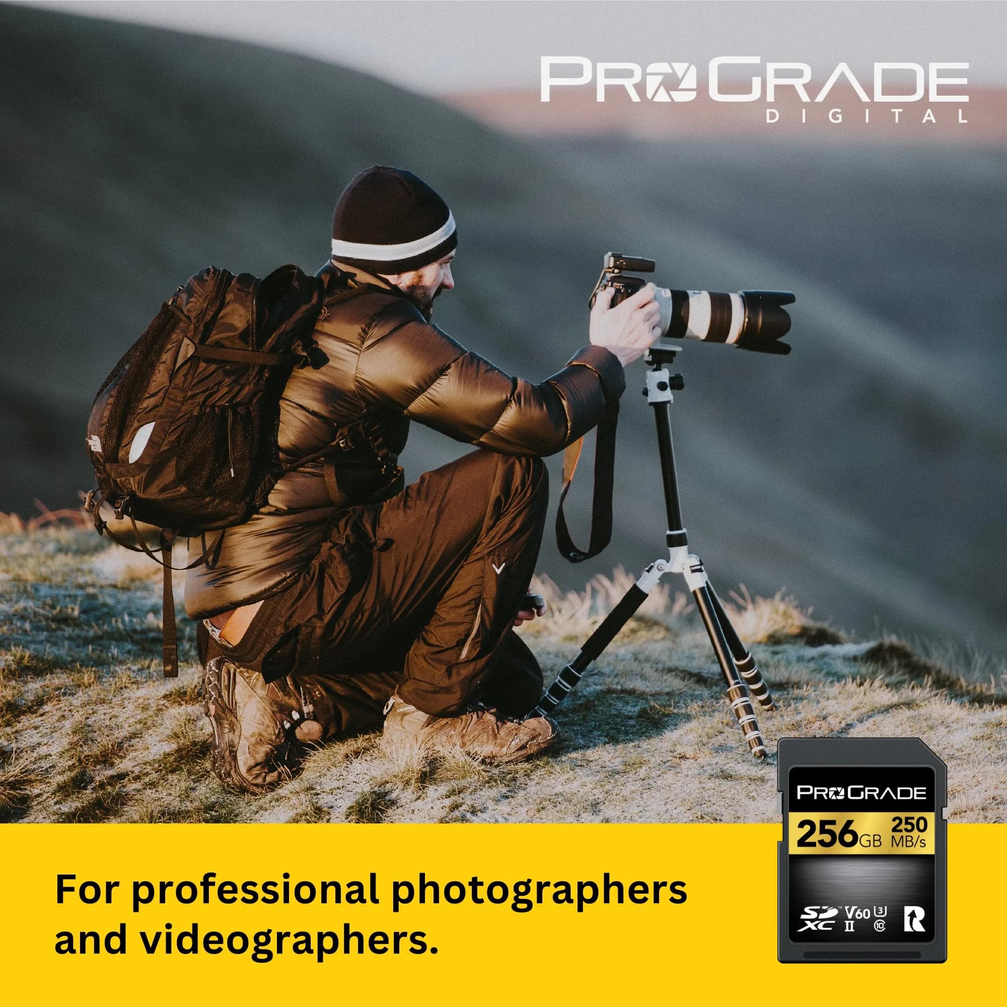 ProGrade Digital Gold SDXC UHS-II V60 Memory Card 256GB (256 GB) | Professional Speed for Content Creators - view 3
