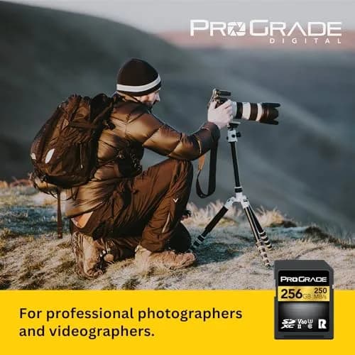 ProGrade Digital Gold SDXC UHS-II V60 Memory Card 256GB (256 GB) | Professional Speed for Content Creators thumbnail 3