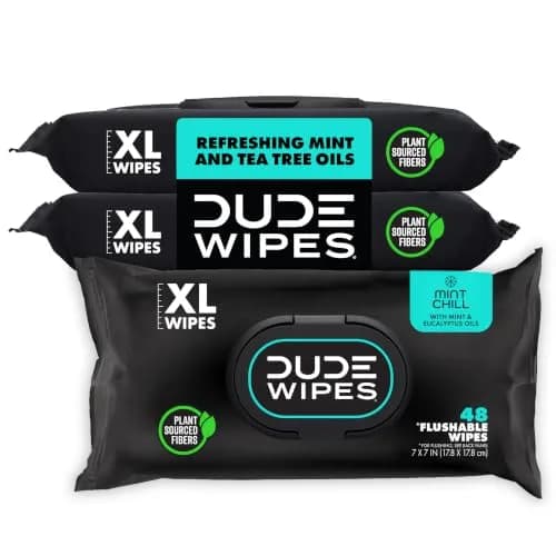 DUDE Wipes Mint Chill Adult Flushable Wet Wipes 144 Count | Refreshing, Plant-Based, Hypoallergenic thumbnail 1