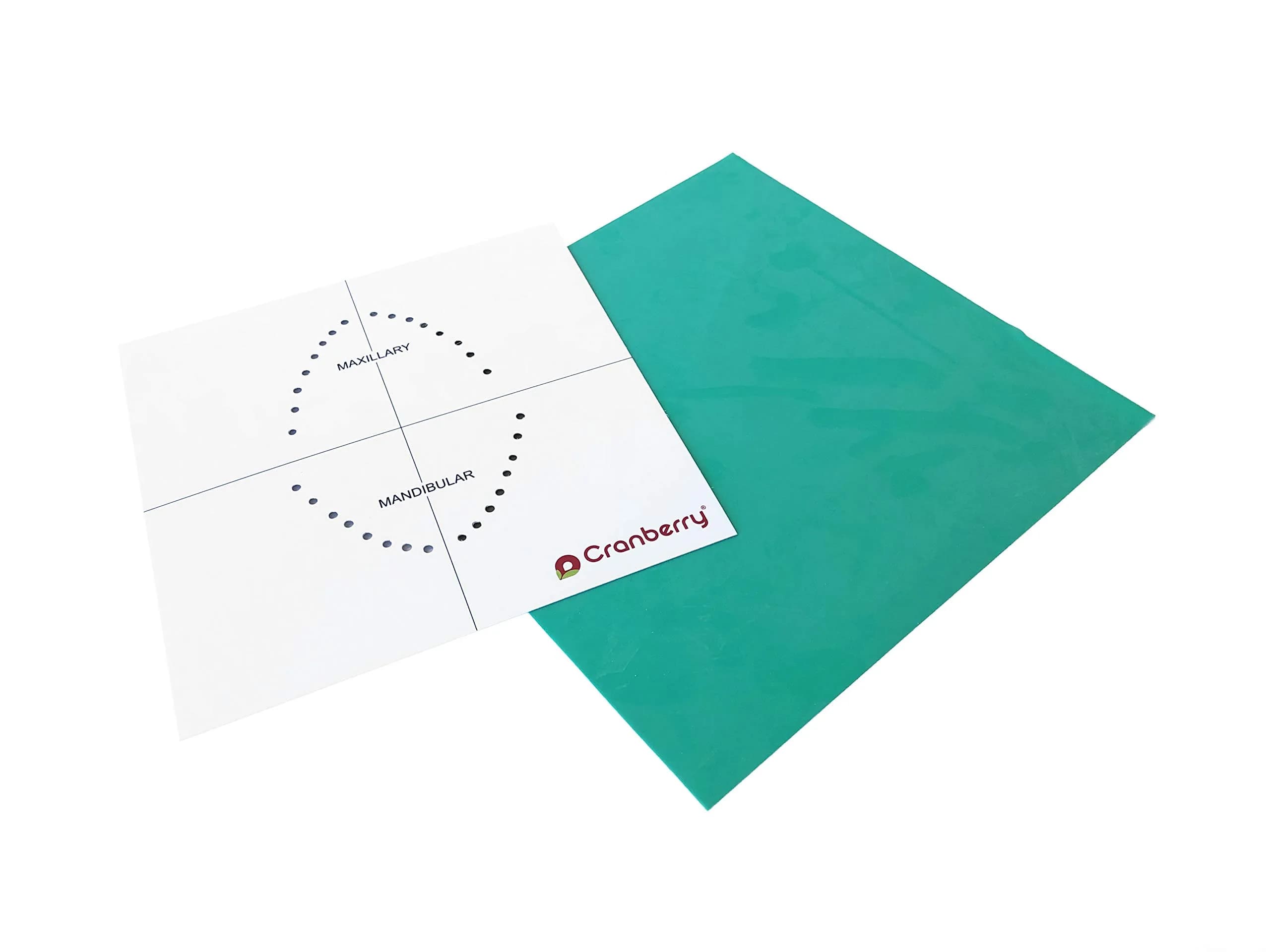 Cranberry Smart Dam Latex Spearmint Scented 5x5 Green - Pack of 36 - view 3
