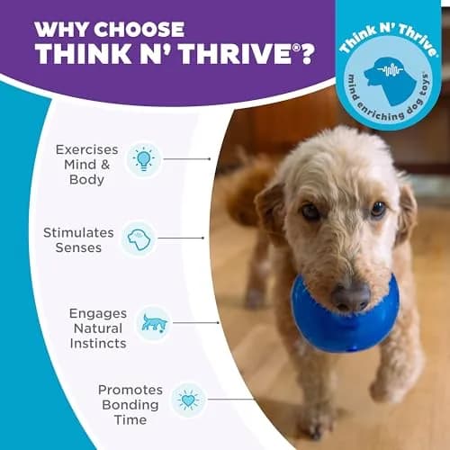 Outward Hound Lil' Snoop Interactive Treat Dispensing Dog Toy, Blue, 4" | Puzzle & Slow Feeder for Small & Medium Dogs thumbnail 6