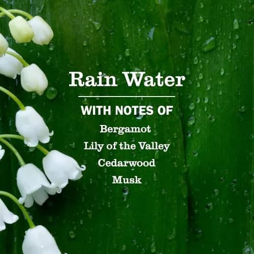 Mrs. Meyer's Clean Day Hand Soap Rain Water Scent 37.5 fl oz (12.5 Fl Oz Bottle - 3 Pack) | Cleanses & Moisturizes Hands thumbnail 2