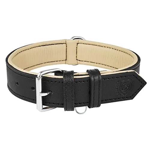 Riparo Leather Dog Collar - Heavy Duty Wide Collar for Small, Medium, Large & XL Dogs | Stylish & Durable thumbnail 1