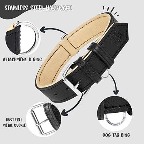 Riparo Leather Dog Collar - Heavy Duty Wide Collar for Small, Medium, Large & XL Dogs | Stylish & Durable thumbnail 4