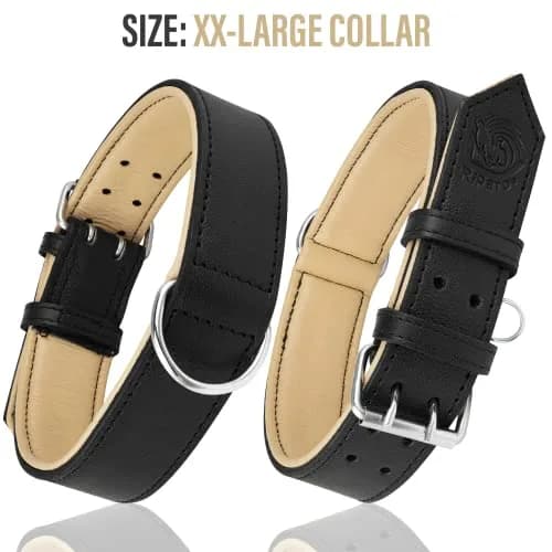 Riparo Leather Dog Collar - Heavy Duty Wide Collar for Small, Medium, Large & XL Dogs | Stylish & Durable thumbnail 3