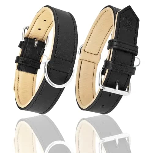 Riparo Heavy Duty Leather Dog Collar XL 21-25" | Adjustable & Durable thumbnail 7