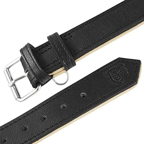 Riparo Heavy Duty Leather Dog Collar XL 21-25" | Adjustable & Durable thumbnail 8