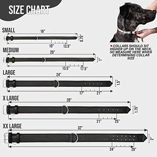 Riparo Heavy Duty Leather Dog Collar XL 21-25" | Adjustable & Durable thumbnail 2